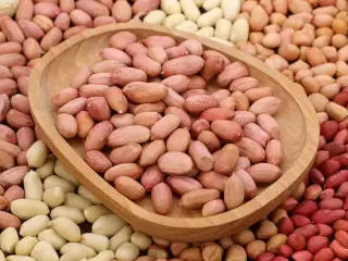 Peanut Kernel