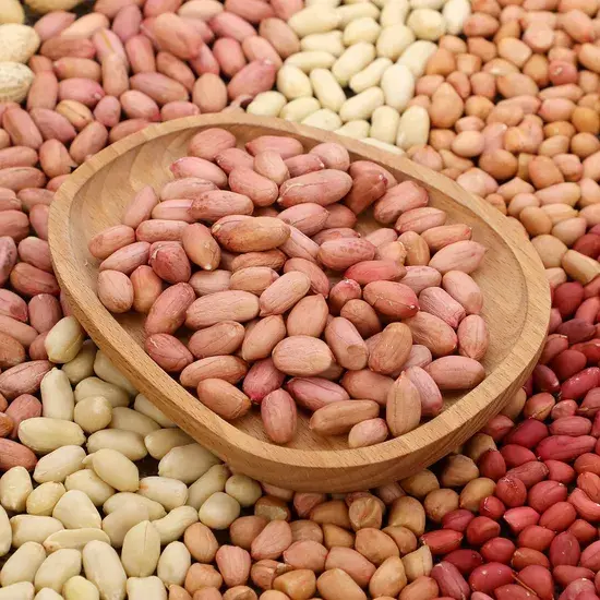 Peanut Kernel