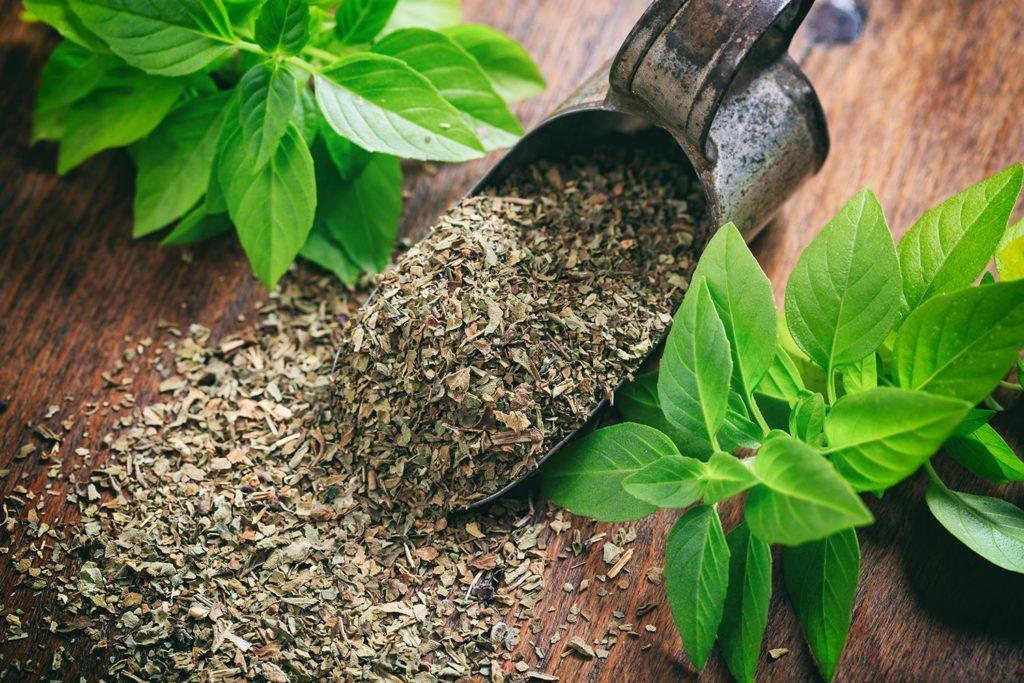Basil
