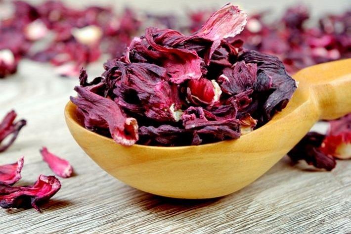 Hibiscus flowers