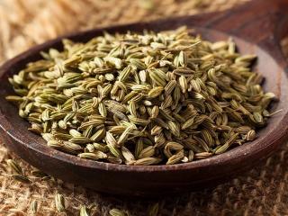 Fennel